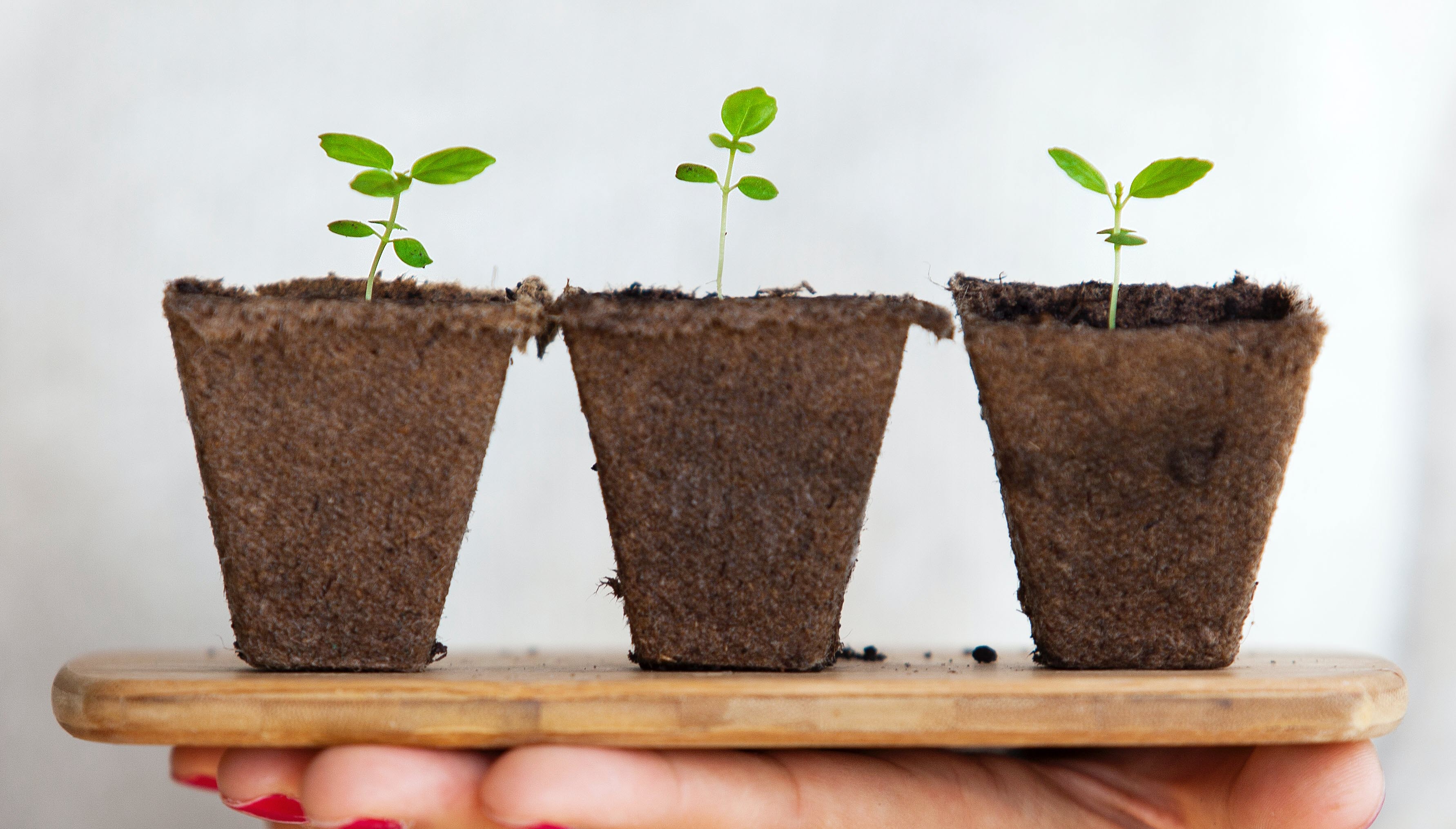 Responsabilité sociétale de l'entreprise (RSE) - Session 1