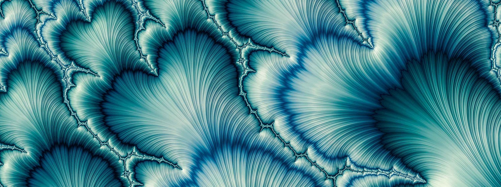 Sensibilisation au développement durable et à la responsabilité sociale d'entreprise (RSE) - Février