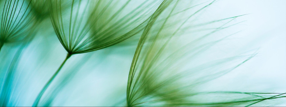 Event cover image